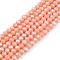 Electroplate Glass Beads Strands, Pearl Luster Plated, Faceted, Rondelle, Dark Salmon, 2.9~3.3x2mm, Hole: 0.8mm, about 144~150pcs/strand, 35~37cm