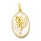 Brass Pave Shell Birth Flower Pendants, Oval Charms, Real 18K Gold Plated, Flower, 25x16x4~5mm, Hole: 4x6.5mm