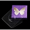 Paper Folding Boxes, Empty Eyelash Packaging Box, with Clear Heart Window, Square, Purple, 7.2x7.2x1.2cm