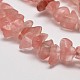 Cherry Quartz Glass Chip Beads Strands G-L269-41-2