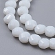 Glass Beads Strands EGLA-J149-B12-3