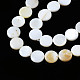 Eau douce naturelle de coquillage perles brins SHEL-Q024-016-3
