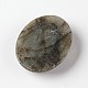 Labradorite naturelle pierres précieuses ovales cabochons X-G-J329-01-13x18mm-3