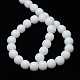 Opaque Solid Color Crystal Glass Round Beads Strands EGLA-F037-10mm-E01-3