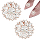 AHANDMAKER 1 Pair Rhinestone Crystal Shoe Buckle Detachable Flower Shoe Clips AJEW-GA0004-25-1