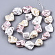 Electroplated Natural Freshwater Shell Beads Strands X-SHEL-R113-01E-2
