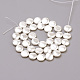 Cuentas perlas de concha de perla SHEL-Q015-08A-2