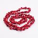 Natural Red Coral Chips Beads Strands F040-2