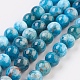 Natural Apatite Beads Strands G-F568-020-8mm-1