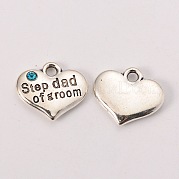 Кулоны & подвески из сплава TIBEP-N005-23A
