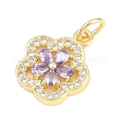Pendentifs avec zircon cubiques à micro-pavés en laiton&nbsp;KK-F938-28G-05