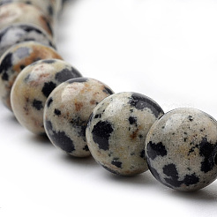 Dalmata naturale perline di diaspro fili&nbsp;X-G-S259-24-10mm