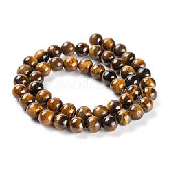 3 нить 3 размера 4 мм 6 мм 8 мм класс AB натуральный тигровый глаз круглые бусины нити&nbsp;G-FS0001-20