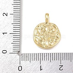 Латунь эмаль подвески&nbsp;KK-P339-12G-03