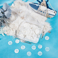 100 шт. подвески в виде ракушек Capiz&nbsp;SHEL-SC0001-25B