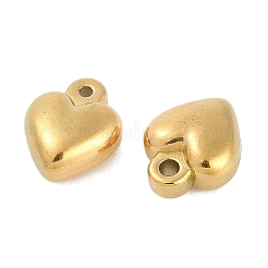 Breloques en acier inoxydable 304 plaquées par ions (IP)&nbsp;LS-STAS-R135-01G-02