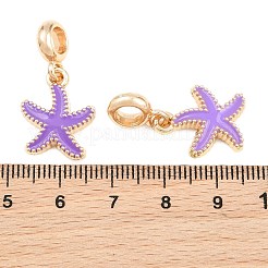 Legierung Emaille europäische baumeln Charms&nbsp;AL-CBAC2D3-02G-02