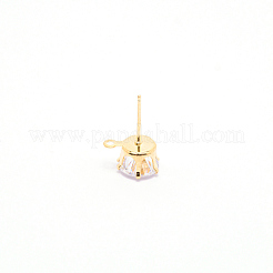 Железные серьги&nbsp;LS-IFIN-WH0050-07G-01