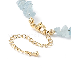 Scaglie di acquamarina naturale e collana con perline di perle&nbsp;NJEW-JN04008-04