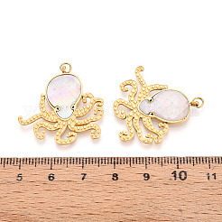304 Edelstahl Pavé-Anhänger aus natürlichen Muscheln&nbsp;STAS-N115-23A-G