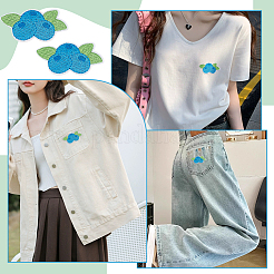 24 шт. черничные компьютеризированные вышивальные нашивки на ткани для приклеивания и пришивания&nbsp;PATC-BC0001-23