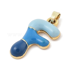 Pendentifs d'émail en alliage&nbsp;ENAM-S023-01G-F