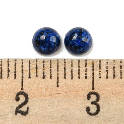 Natürliche lapislazuli gefärbte Cabochons&nbsp;G-H309-03-51