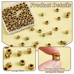 100 шт. европейские бусины из сплава в тибетском стиле&nbsp;DIY-PH0023-44A