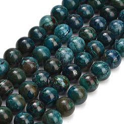 Natur Chrysokoll Perlen Stränge&nbsp;G-G475-A03-10mm