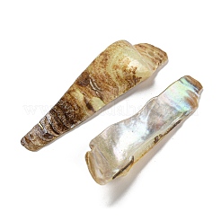 Большие подвески из натуральной ракушки акоя&nbsp;BSHE-G034-09G