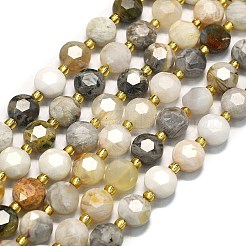 Природные бамбуковых листьев агат бисер нитей&nbsp;G-C116-A34-02