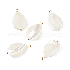 5 colgante de lágrima de concha natural&nbsp;SHEL-TA0001-37