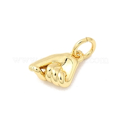 Латунь подвески&nbsp;KK-I364-09G-02