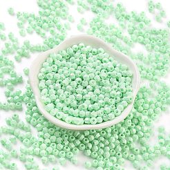 Выпечка краска стеклянные бусины&nbsp;SEED-A032-02R