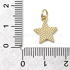 Латунь эмаль подвески&nbsp;KK-P338-13G-02