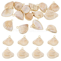 15 шт. Подвески из натуральных ракушек&nbsp;BSHE-TA0001-26