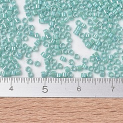 Miyuki Delica Perlen&nbsp;SEED-X0054-DB1576