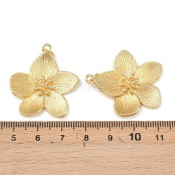 Messing Anhänger & Charms&nbsp;X-KK-L255-04G
