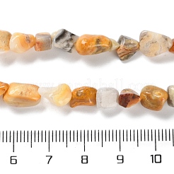 Природные сумасшедший агат бисер нитей&nbsp;G-P497-01C-08