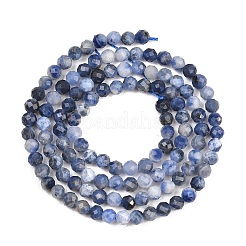 Natur Sodalith Perlen Stränge&nbsp;G-RM250104-A5