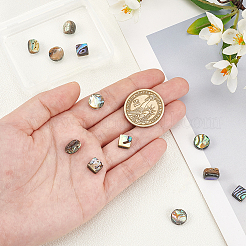 12 stücke 3 arten natürliche abalone muschel/paua muschel perlen stränge&nbsp;SHEL-WR0001-03