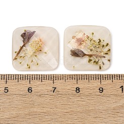 Transparente Harzcabochons&nbsp;RESI-K033-12B