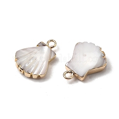 Натуральная ракушка трохида / подвески из ракушки трохуса&nbsp;SHEL-B003-08G