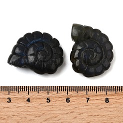 Природные подвески лабрадорита&nbsp;G-NH0065-01C