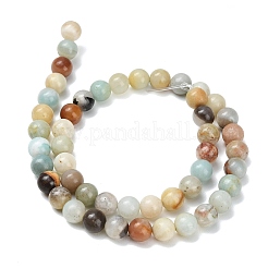 Натуральный цветок амазонитовые бусины пряди&nbsp;G-F826-C01-8mm