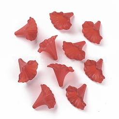 Прозрачные акриловые бусины&nbsp;X-BSF796-C12