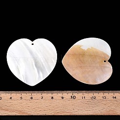 Естественных пресноводных оболочки большие кулоны&nbsp;SHEL-T020-51