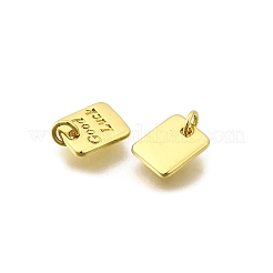 Breloques en laiton&nbsp;KK-I275-14G-02