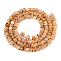 Натуральные пресноводные окрашенные бусы из ракушек&nbsp;SHEL-T020-29A-04