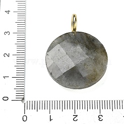 Pendenti sfaccettati in labradorite naturale&nbsp;G-A287-02G-13